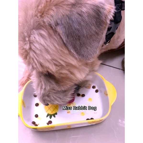 Pet Food 2.5kg Dog Food 狗粮Ready Store Miss Rabbit Dog Freeze- dried Dog Food Puppy Adult Older Dogs兔小狗全价冻干四拼宠物狗粮幼犬成犬 - 图片 4