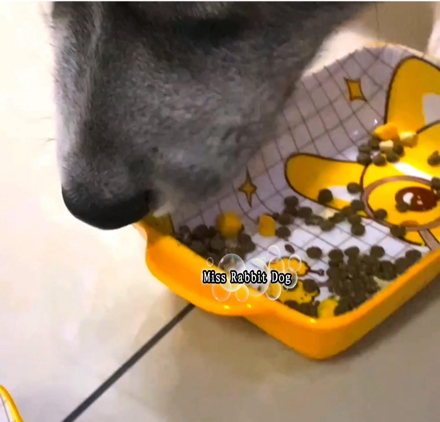 1包 2.5kg Fresh Meat Freeza- Dried Complete Dog Food全价鲜肉冻干犬粮到货啦 (幼犬、成犬、老年犬都可以食用) - 图片 12