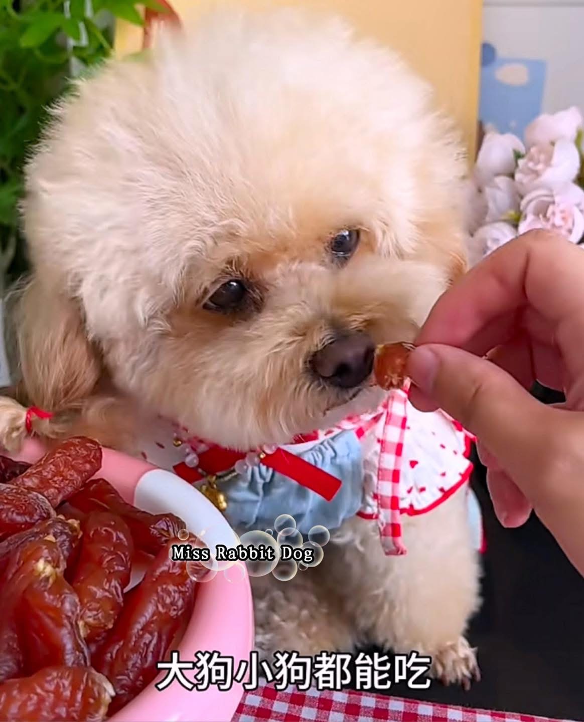 3罐 Miss Rabbit Dog 一口难忘宠物口水肠(腊肠)可以mix 口味 - 图片 7