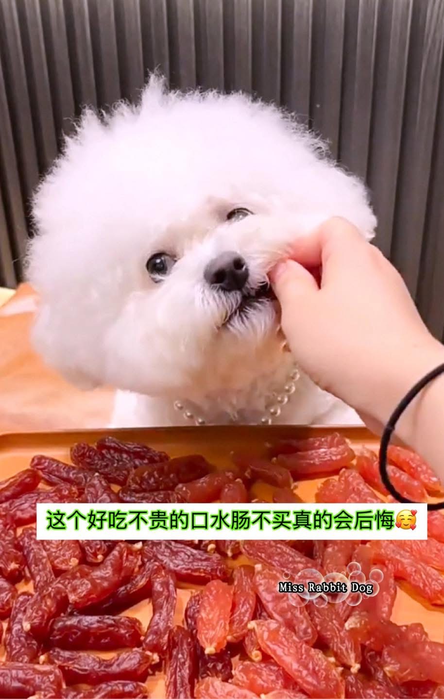 3罐 Miss Rabbit Dog 一口难忘宠物口水肠(腊肠)可以mix 口味 - 图片 9