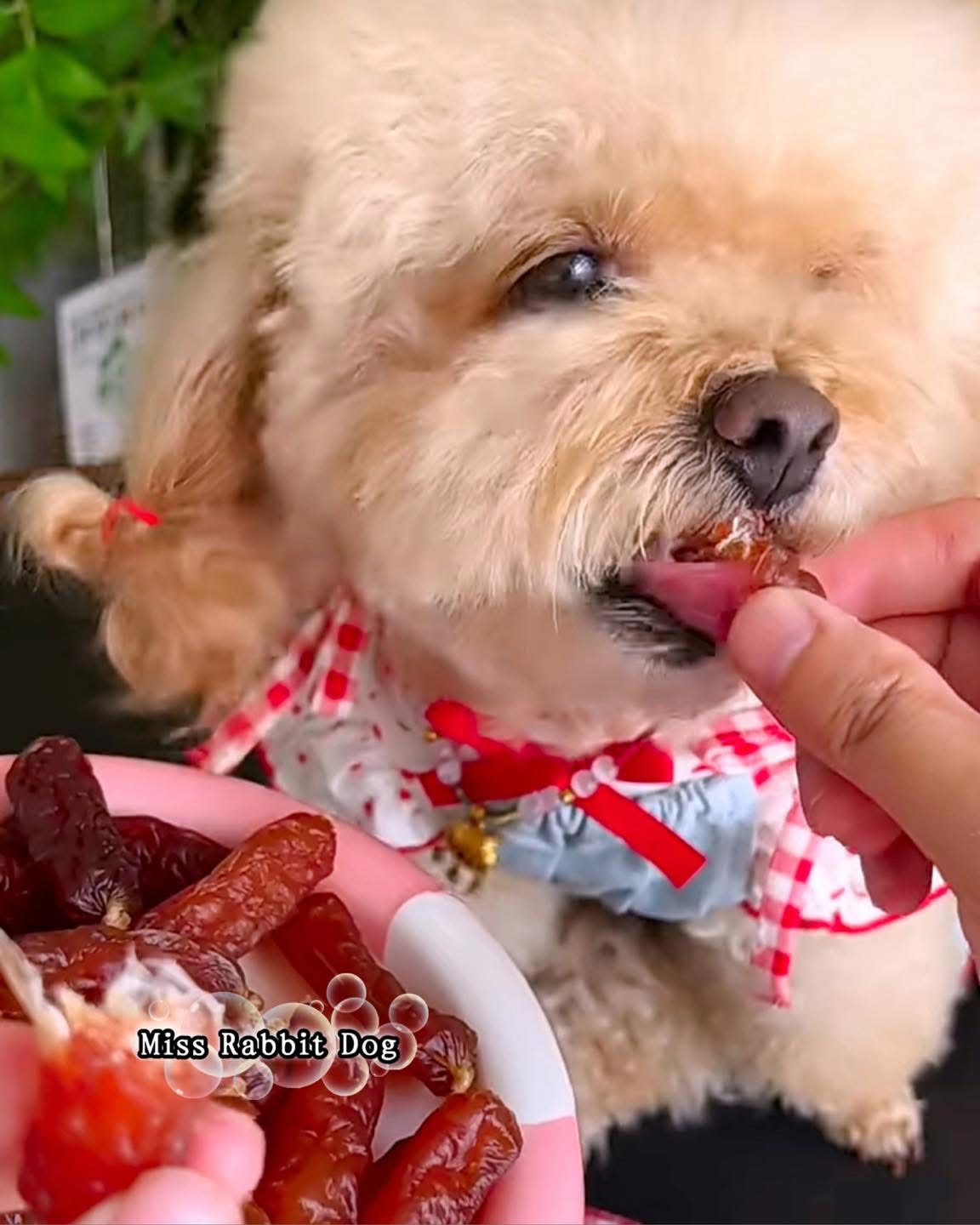 3罐 Miss Rabbit Dog 一口难忘宠物口水肠(腊肠)可以mix 口味 - 图片 11