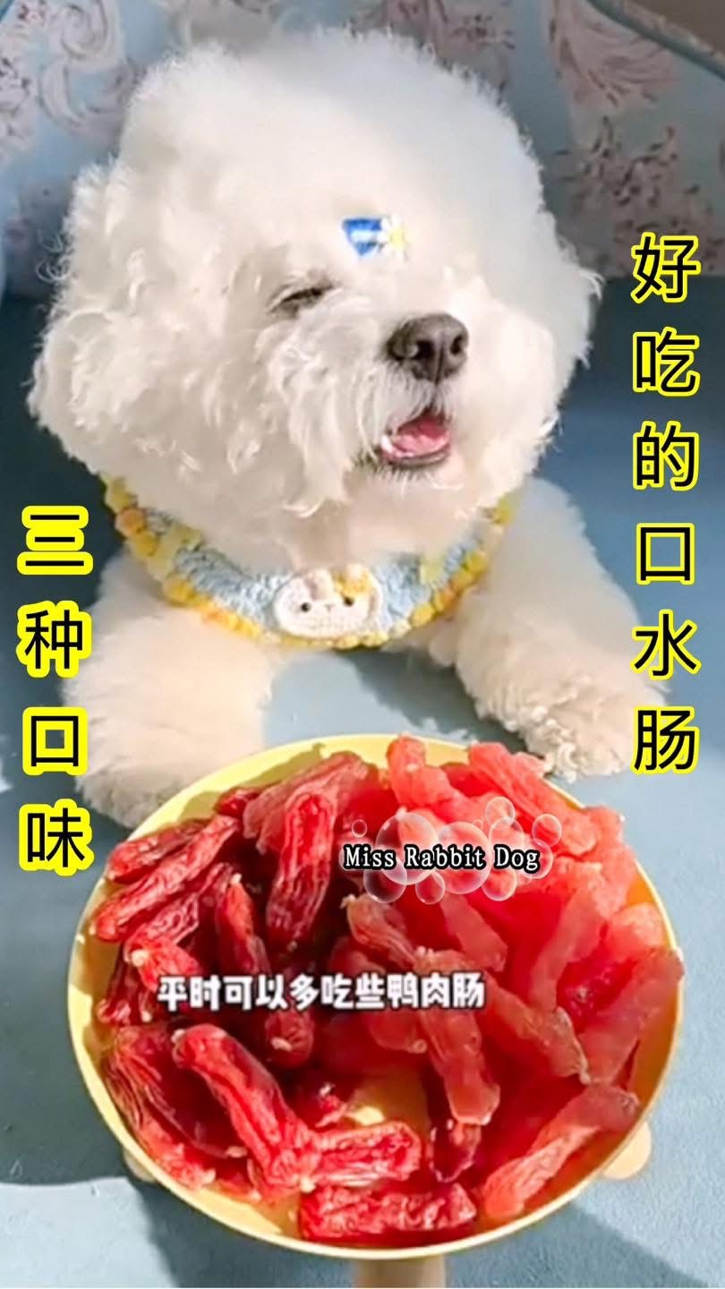 3罐 Miss Rabbit Dog 一口难忘宠物口水肠(腊肠)可以mix 口味 - 图片 16