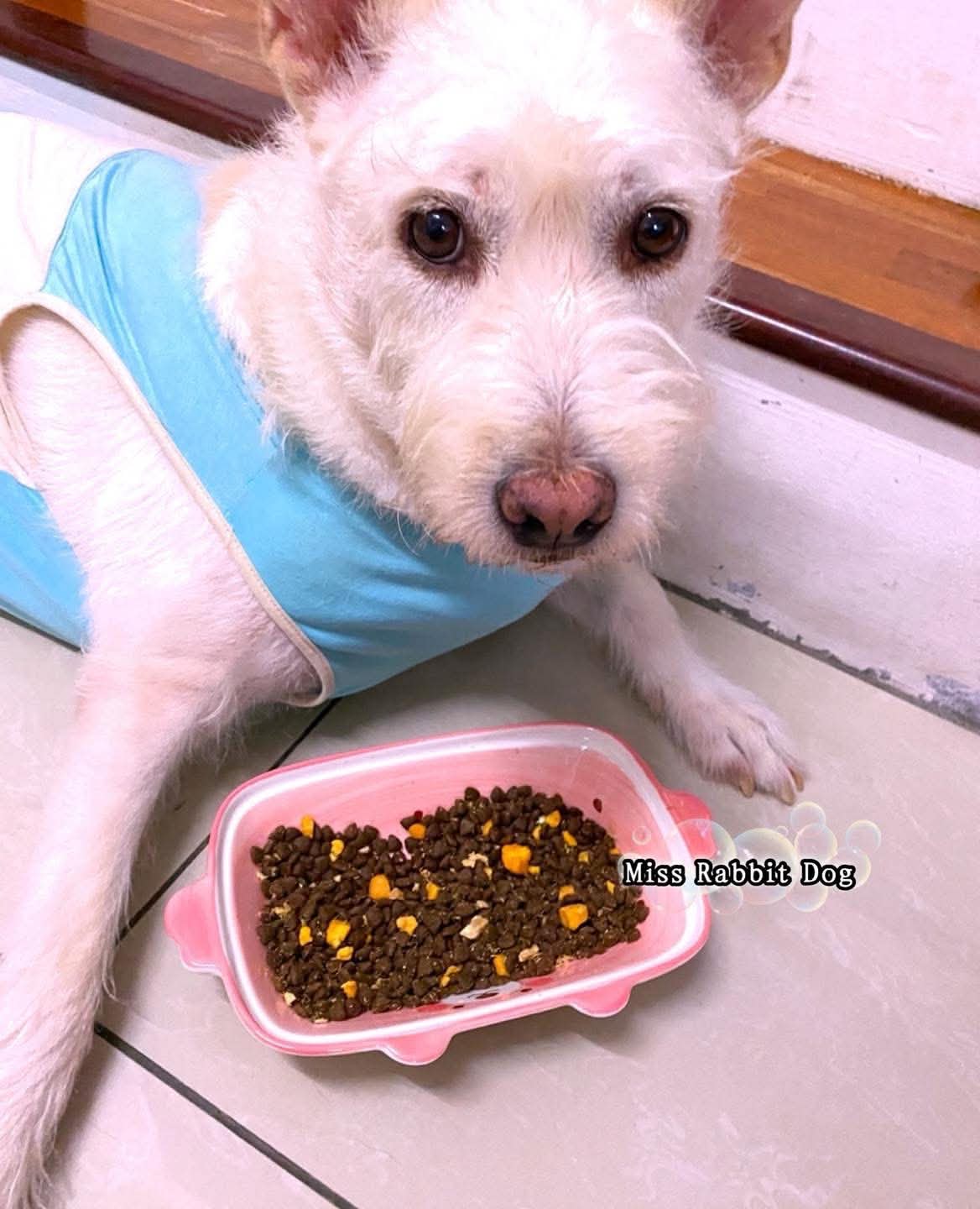 1包 2.5kg 兔小狗全新升级冻干三拼全犬粮(通用型) - 图片 8