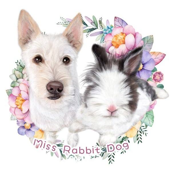 Miss Rabbit Dog